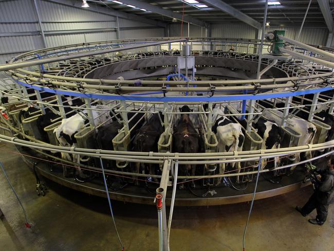 Van Diemen's Land Company is the biggest dairy farm in Australia and the biggest supplier to Fonterra.