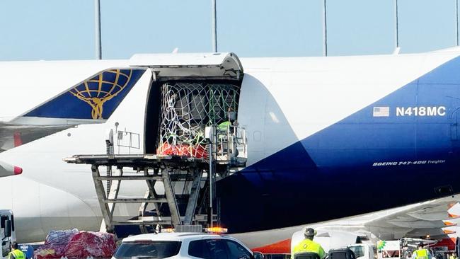 Burma the elephant arrives in Adelaide from Auckland Zoo. Picture: Naomi Jellicoe