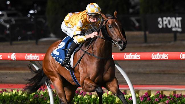 Queen Of The Ball could be too speedy for her rivals with only 51kg in Saturday’s Group 2 Schillaci Stakes at Caulfield. Picture: Racing Photos via Getty Images