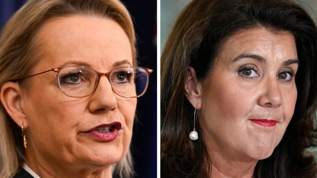 ‘Not a scapegoat’: Lib leader opens up on Senator’s demotion