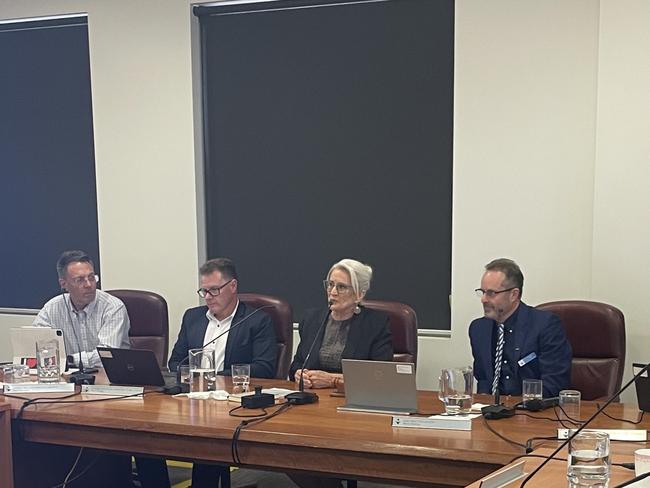 Mayor Helen Healy conducts her first piece of business as Mayor of Mildura Rural City Council. Picture: Stuart Kavanagh