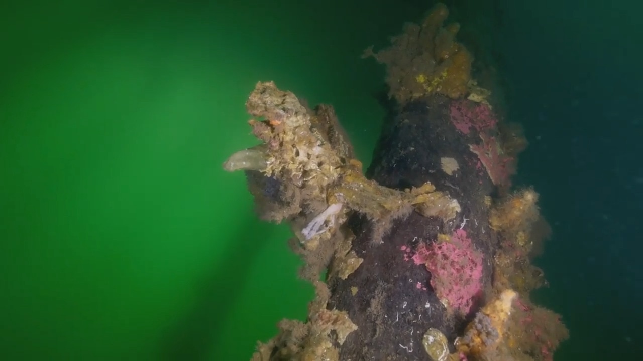 Diving destination turned toxic nightmare