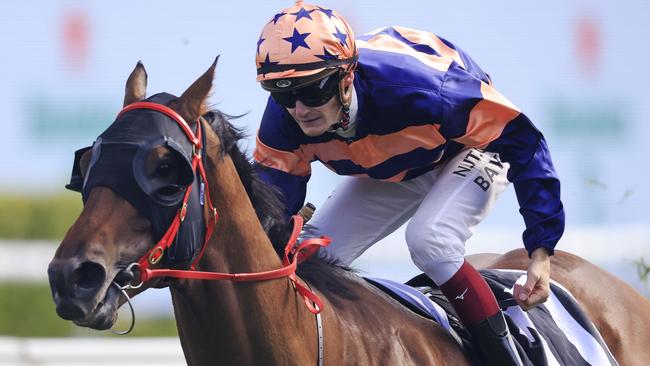 Brutality is suited by the 1500m and wet track at Rosehill on Saturday. Picture: Getty Images