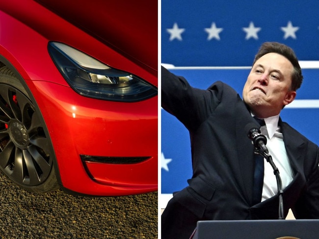 Tesla Model Y and Elon Musk