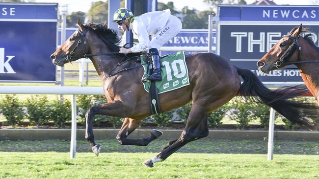 Winx's little sister Wings Of Desire will chase valuable black type in Saturday's Group 2 Edward Manifold Stakes at Flemington. Picture: Bradley Photos