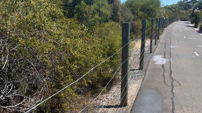 Near the spot where the wire was strung across the bike path. Picture: SAPOL