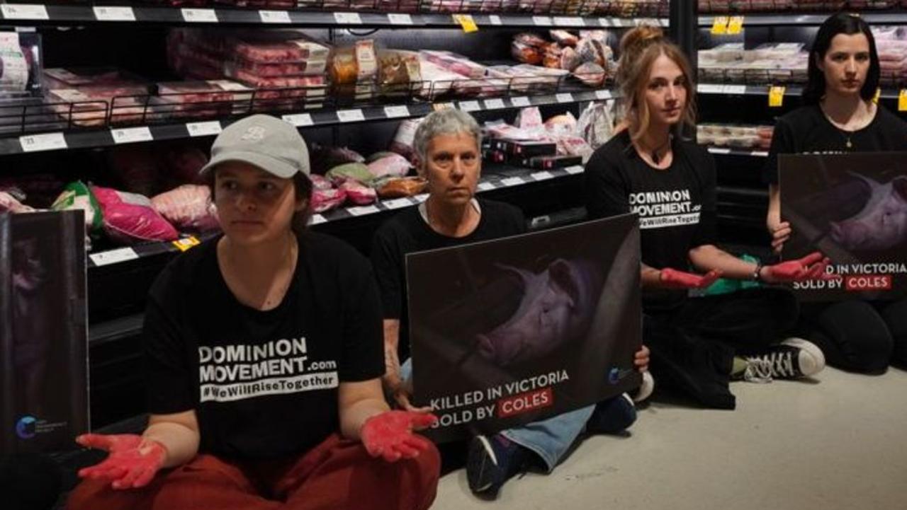 Vegan activist protests Coles, Woolworths at Perth shopping centre :  r/australianvegans