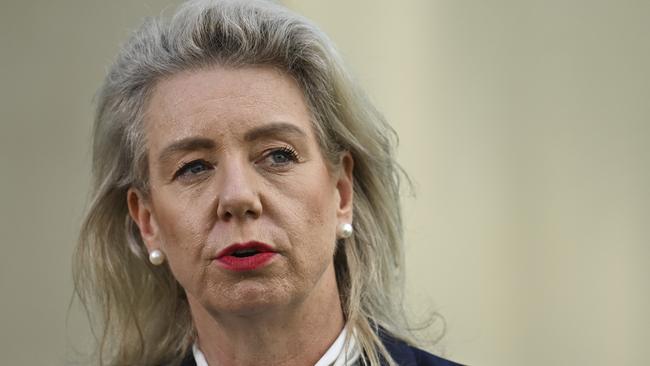 Opposition infrastructure spokeswoman Bridget McKenzie. Picture: Martin Ollman