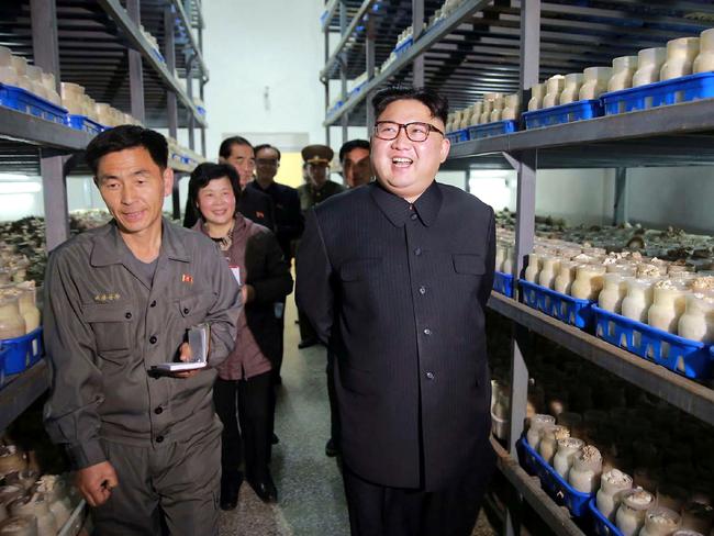 North Korean leader Kim Jong-un visits the Pyongyang Mushroom Farm. Picture: AFP/KCNA via KNS/STR