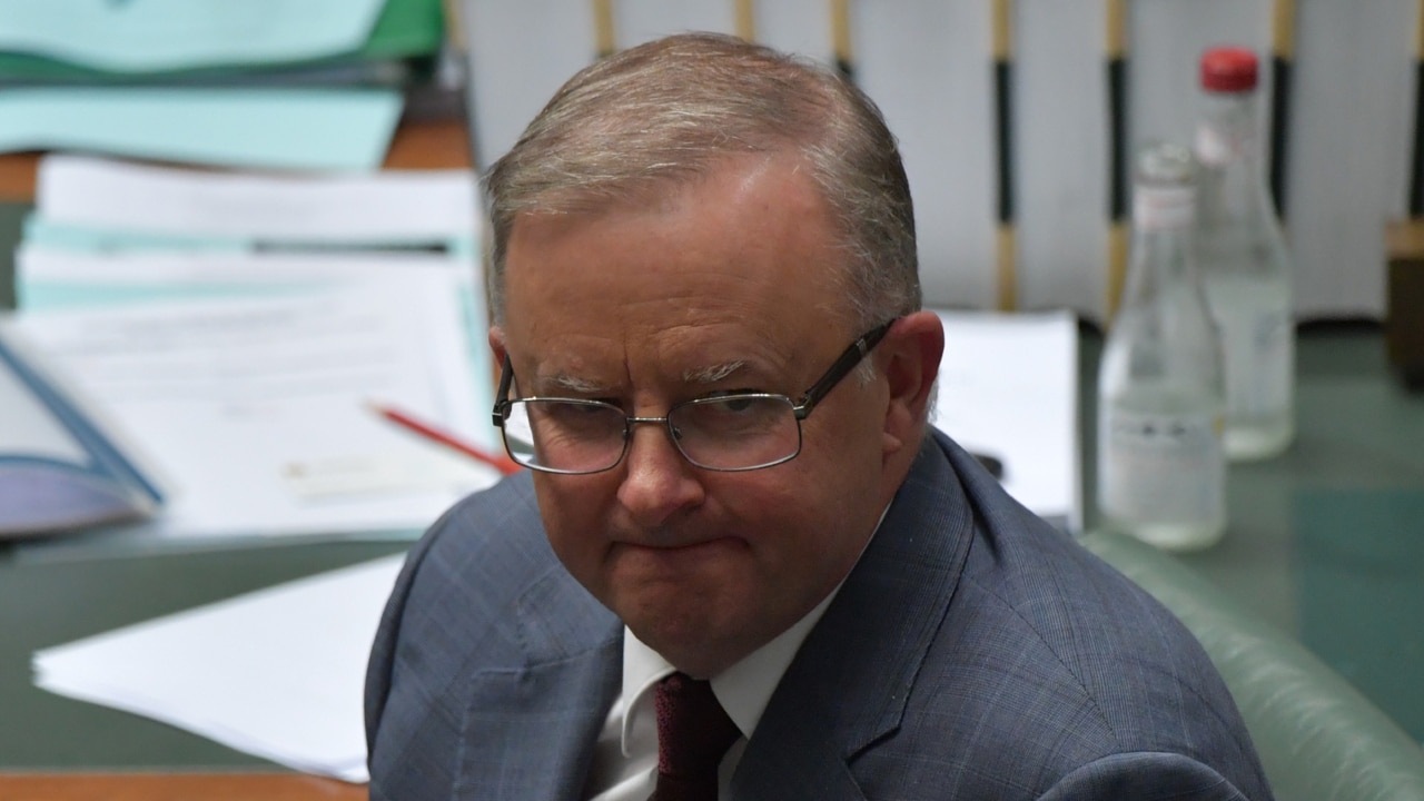 Anthony Albanese planning on ‘skating through election’