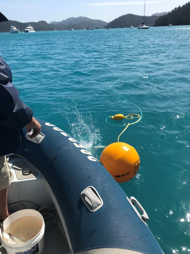 Drum lines being deployed at the Whitsundays after two shark attacks. Picture: Department of Fisheries