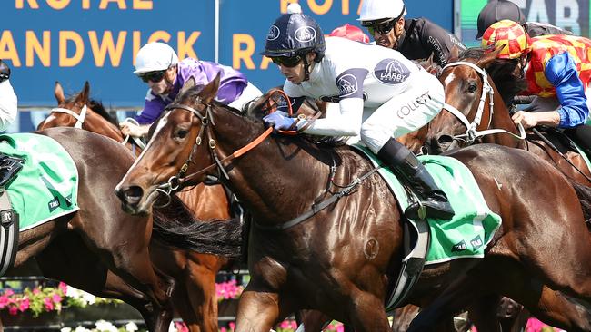 Jason Collett drives Within The Law to victory in the Sweet Embrace Stakes at Randwick. Picture: Getty Images