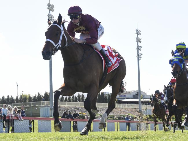 Climbing Star (NZ) ridden by Zac Spain wins the AFC - Peter & Lavella Darose Maiden Plate at Cranbourne Racecourse on September 28, 2022 in Cranbourne, Australia. (Photo by Pat Scala/Racing Photos via Getty Images)