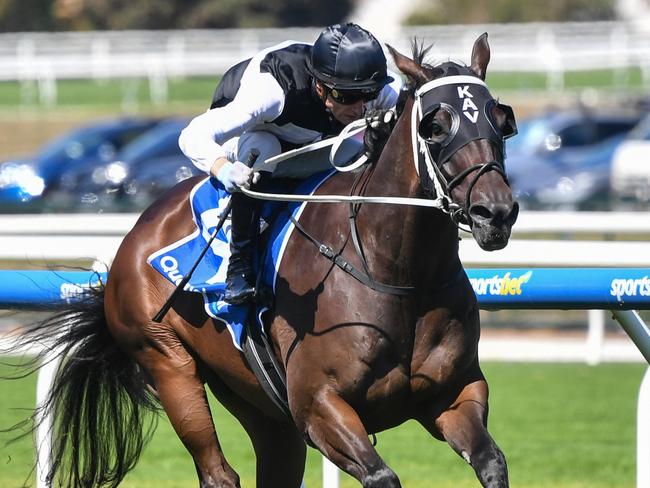 First Immortal ridden by Blake Shinn wins the Quayclean Anniversary Vase at Caulfield Racecourse on March 16, 2024 in Caulfield, Australia. (Photo by Pat Scala/Racing Photos via Getty Images)