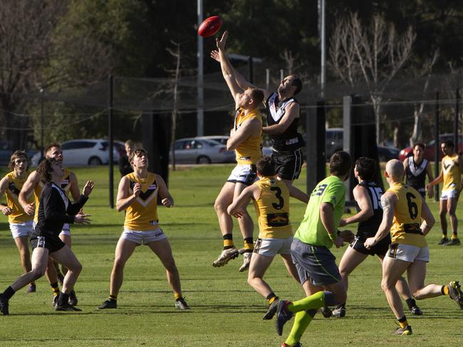 Bombers Player Hayden Kanisauskas tapping the ball. Adelaide Footy League division one match between The Blacks Adelaide University Football Club Coach (Ben Watkins) and Brighton Bombers Football (Coach Joel Tucker) at University Oval (Park 12), Adelaide. Photographer Emma Brasier