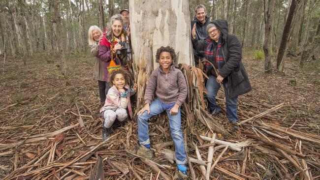 Wombat Forestcare’s Gayle Osborne, Angela Halpin, Jack Moeller, Trevor Spiiers and Margaret Phillips, with Charlie and Billy, support the area getting national park status. Picture: Rob Leeson