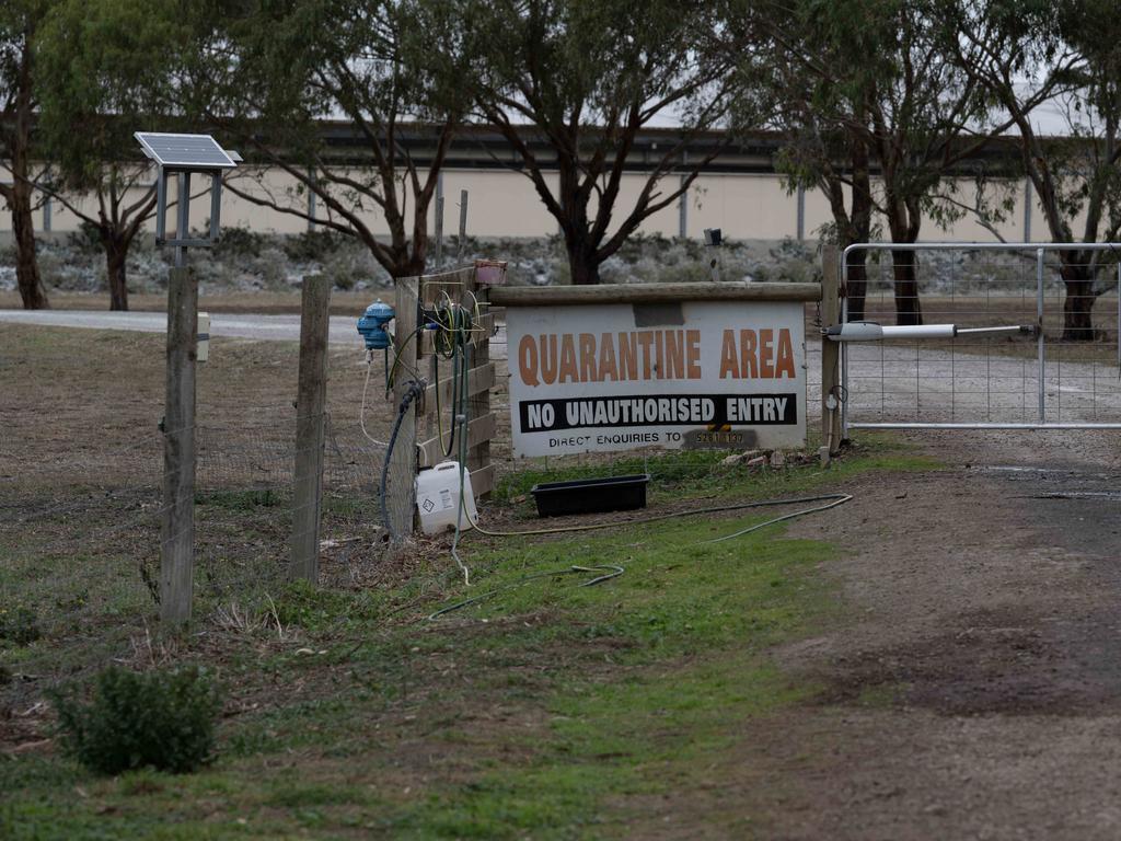 Workers at a poultry farm near Victoria’s Lethbridge where there has been a suspected outbreak of avian influenza. Picture: Brad Fleet