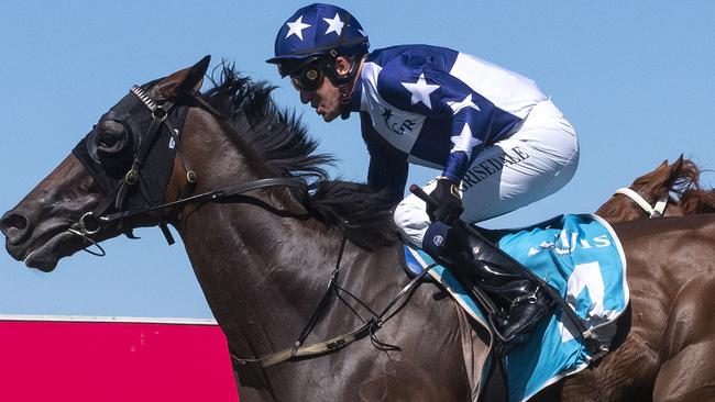 Jockey Jon Grisedale rode Tiomo to victory in the Class 1 Handicap (1800m) at the Gold Coast Turf Club on Saturday, March 21, 2020. Picture credit: Greg Irvine, Magic Millions.