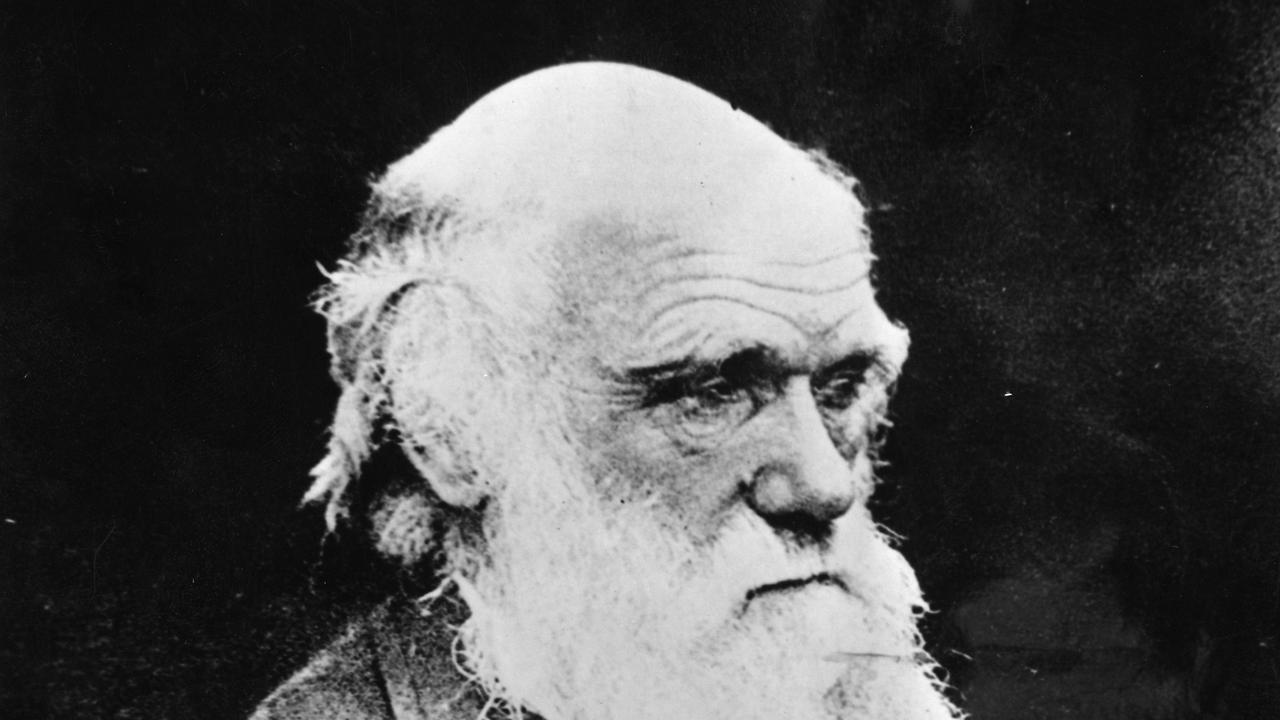 British scientist Charles Robert Darwin, founder of the theory for the evolution of life in an undated file photo. An auction house said 22/11/2009 it is selling a rare first edition of Charles Darwin's 'On the Origin of Species' found in a family's guest lavatory in southern England.