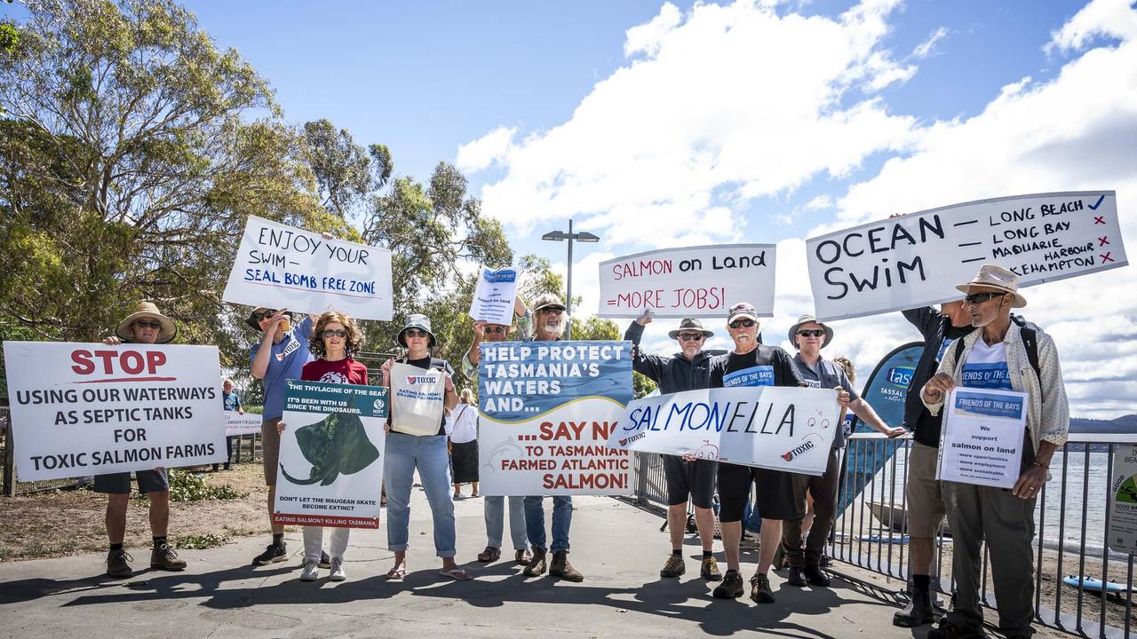 Sandy Bay Regatta 2024 thrilled punters at Long Beach The Mercury