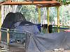 ‘It’s really tough’: Tent city re-emerges on flood-prone creek