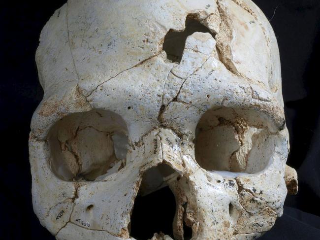 WEB ONLY MUST CREDIT REUTERS/PICTURE MEDIA ONE TIME USE The skull of a prehistoric human relative that lived 430,000 years ago and found in a cave in northern Spain is shown in this undated handout photo provided by Madrid Scientific Films May 27, 2015. Scientists on Wednesday said the skull discovered deep inside a cave in the Atapuerca mountain range, showed telltale signs of homicide: two fractures inflicted on the victim by the same weapon. REUTERS/Javier Trueba/Madrid Scientific Films/Handout via Reuters ATTENTION EDITORS - NO ARCHIVES. NO SALES. FOR EDITORIAL USE ONLY. NOT FOR SALE FOR MARKETING OR ADVERTISING CAMPAIGNS. THIS IMAGE HAS BEEN SUPPLIED BY A THIRD PARTY. IT IS DISTRIBUTED, EXACTLY AS RECEIVED BY REUTERS, AS A SERVICE TO CLIENTS. NO COMMERCIAL USE.