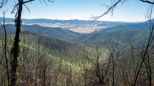 As of Tuesday this week, 11,346 people had signed the Bush Users Group United petition opposing more forests being locked up in national parks.