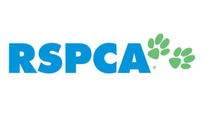 The RSPCA are one of the companies hiring in the Gympie region