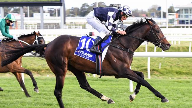 Russian Camelot easily wins the Underwood Stakes at Caulfield. Racing Photos via Getty Images