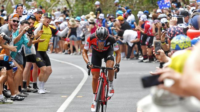 20/01/18 - Fans cheer on the Richie Porte on to victory during the Subaru King of the Mountain: Brookman Road, Willunga Hill.Picture: Tom Huntley