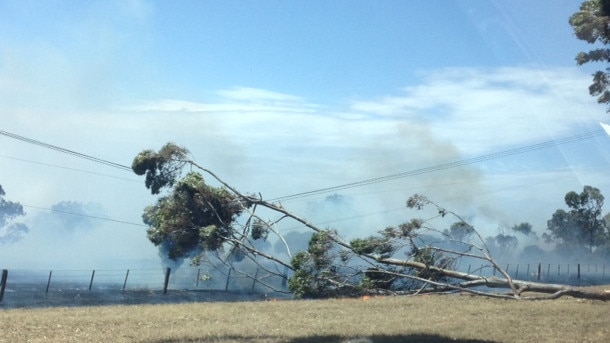 Fire line: New unproven fault limiting technology to stop powerline fires will cost regional Victorian industry $80m.