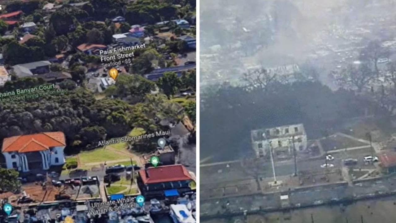 The Lahaina Banyan Court and ‘home of Maui’s oldest living tree’ is now charred. Picture: Tiktok/@bites_socks_box_o_rocks