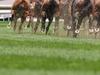 Market reopens for WA’s TAB
