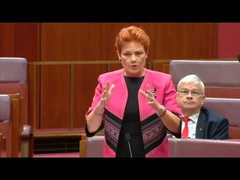 AUSTRALIA:    One Nation Senator Says She's Sick of Being Labelled a Racist   November 23