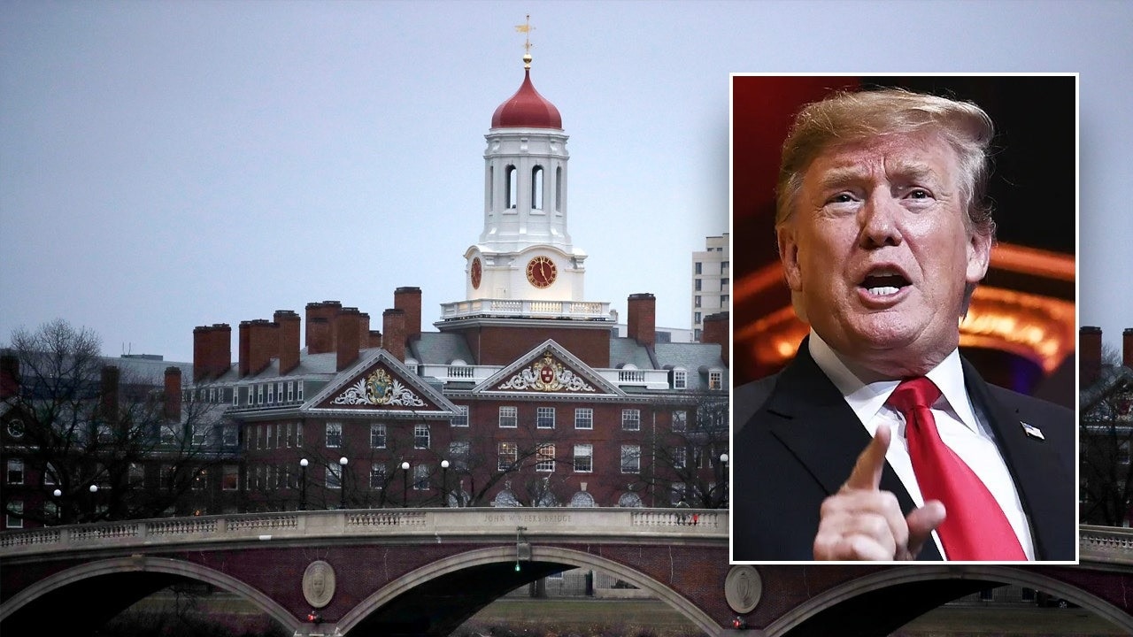 Rudd says Trump’s ban on foreign students at Harvard is ‘distressing’