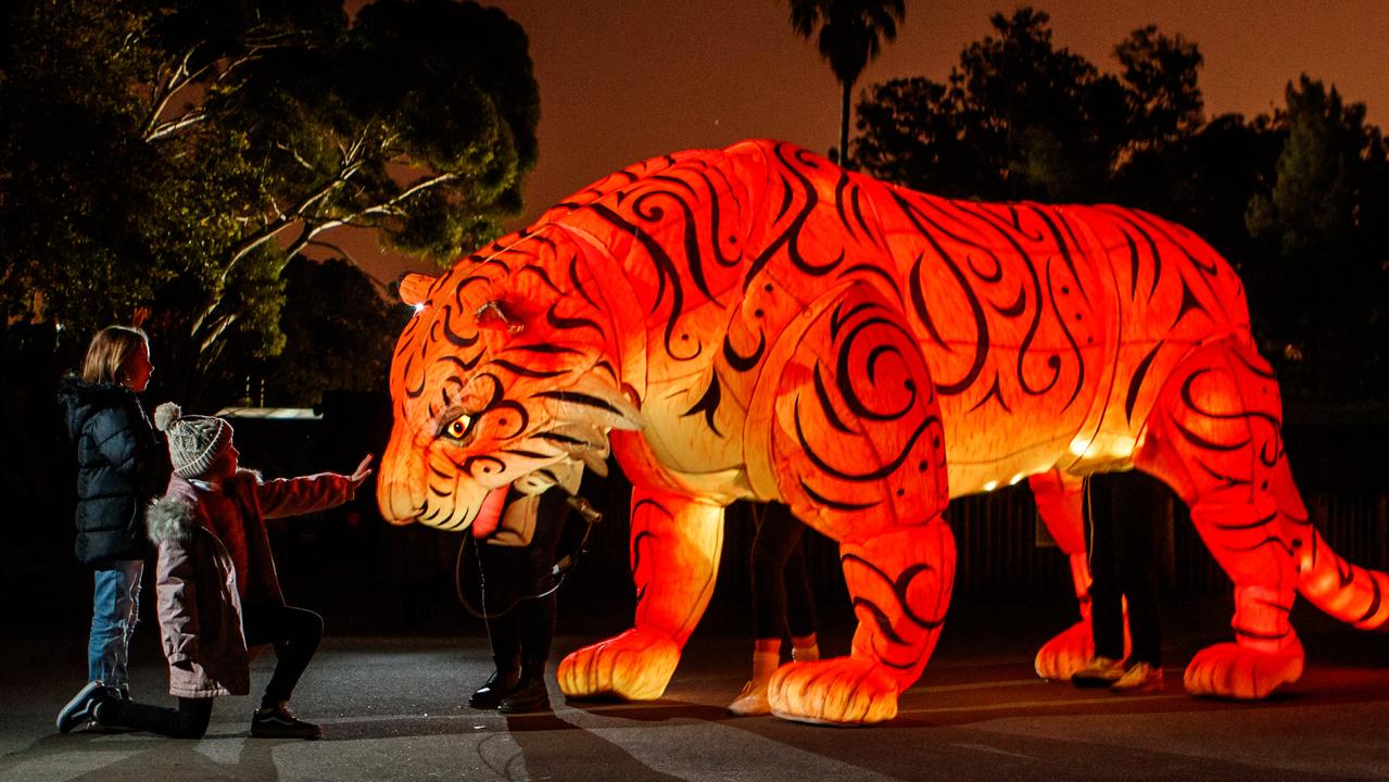 Light Creatures opens in the Adelaide Zoo for Illuminate Adelaide