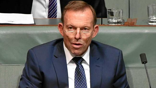 The Liberals seem to be taking a tack that if they ignore former prime minister Tony Abbott (pictured last month during Question Time in Canberra) eventually he will sit silently. Picture: MICK TSIKAS